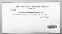 Image Associated With the Occurrence